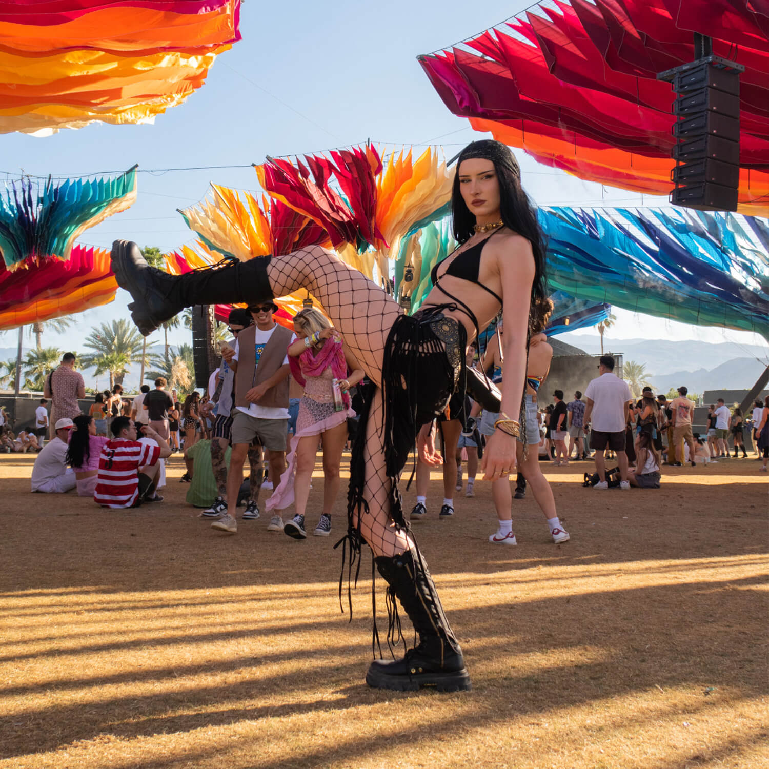 Jungle Tall Black boots